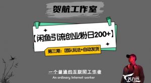 第三期:暴力引流,无脑搬运,闲鱼创业粉引流一天200+,更新全自动发货的团队闭环模式【揭秘】-学习资源库