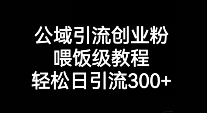 公域引流创业粉，喂饭级教程，轻松日引流300+【揭秘】-学习资源库