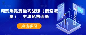 淘系爆款流量实战课(搜索流量),主攻免费流量-学习资源库