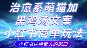 治愈系萌猫加+黑鸡汤文案,小红书商单玩法,3~10天涨到1000粉,一单200左右-学习资源库