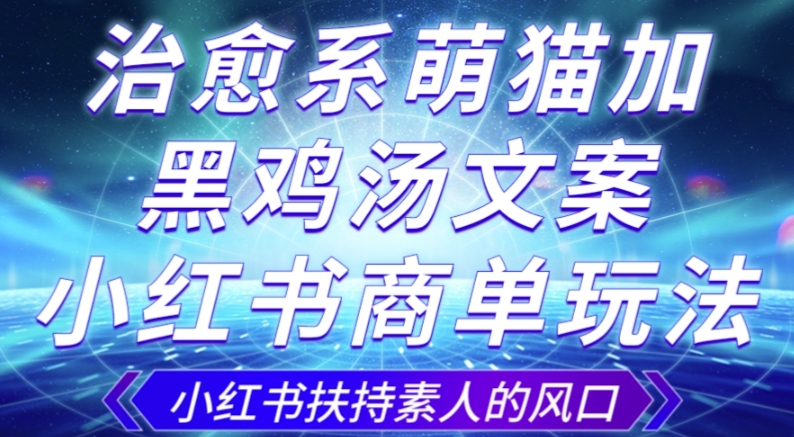 治愈系萌猫加+黑鸡汤文案，小红书商单玩法，3~10天涨到1000粉，一单200左右-学习资源库