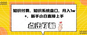 知识付费,知识系统盘口,月入1w+,新手小白直接上手-学习资源库