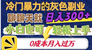 冷门暴利的副业项目,聊聊天就能日入300+,0成本月入过万【揭秘】-学习资源库