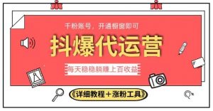 2023抖爆代运营,单号日躺赚300,简单易操作做无上限【揭秘】-学习资源库