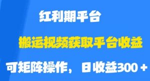 搬运视频获取平台收益,平台红利期,附保姆级教程【揭秘】-学习资源库