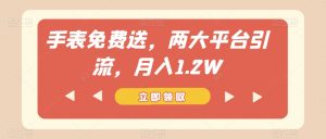 手表免费送,两大平台引流,月入1.2W【揭秘】-学习资源库