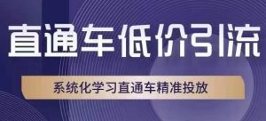 直通车低价引流课,系统化学习直通车精准投放-学习资源库