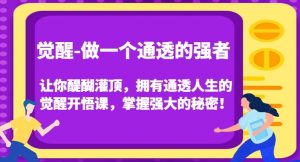 觉醒-做一个通透的强者,让你醍醐灌顶,拥有通透人生的觉醒开悟课,掌握强大的秘密!-学习资源库