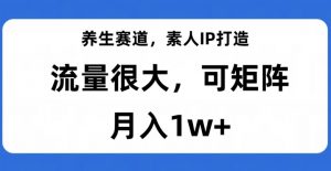 养生赛道,素人IP打造,流量很大,可矩阵,月入1w+【揭秘】-学习资源库