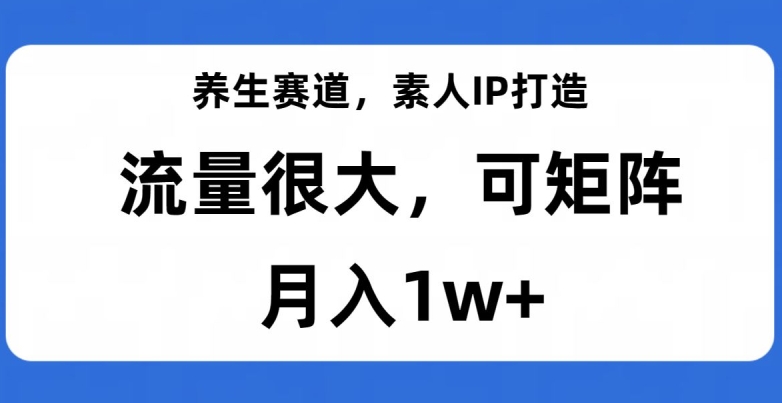 养生赛道，素人IP打造，流量很大，可矩阵，月入1w+【揭秘】-学习资源库