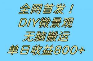 全网首发冷门赛道!DIY微景观,无脑搬运视频,日收益800+【揭秘】-学习资源库