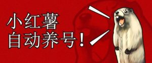 小红书养号秘籍,如何自动涨粉清晰系统标签打造高权重账号【揭秘】-学习资源库