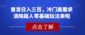 首发日入三百,冷门高需求消除路人零基础玩法来啦【揭秘】-学习资源库