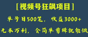 日收款500笔，纯利润3000+，视频号狂飙项目，会简单剪辑就能做【揭秘】-学习资源库
