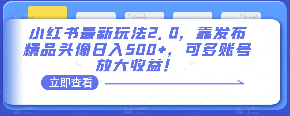 小红书最新玩法2.0，靠发布精品头像日入500+，可多账号放大收益！【揭秘】-学习资源库