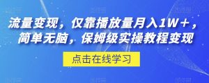 流量变现,仅靠播放量月入1W+,简单无脑,保姆级实操教程【揭秘】-学习资源库