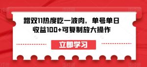 蹭双11热度吃一波肉,单号单日收益100+可复制放大操作【揭秘】-学习资源库