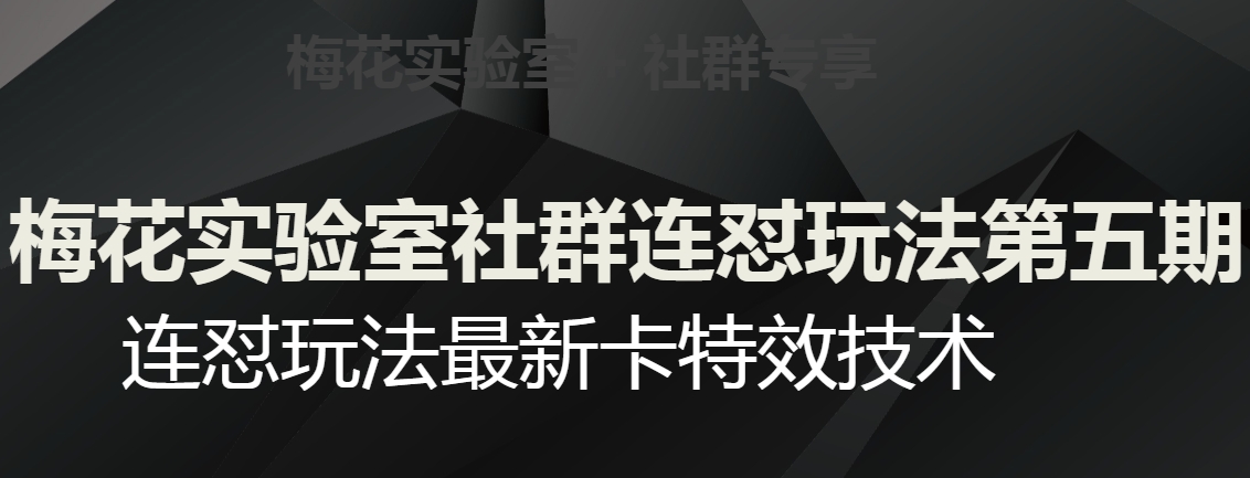 梅花实验室社群连怼玩法第五期，视频号连怼玩法最新卡特效技术-学习资源库