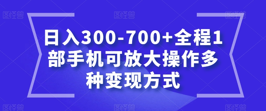 日入300-700+全程1部手机可放大操作多种变现方式【揭秘】-学习资源库