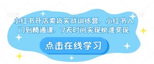 小红书开店卖货实战训练营,小红书入门到精通课,7天时间实现快速变现-学习资源库