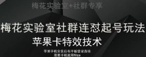 梅花实验室社群视频号连怼起号玩法,最新苹果卡特效技术-学习资源库