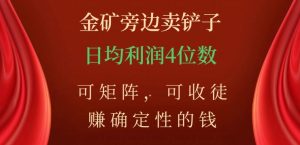 金矿旁边卖铲子,赚确定性的钱,可矩阵,可收徒,日均利润4位数【揭秘】-学习资源库