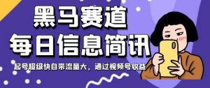 黑马赛道每日信息简讯,起号超级快自带流量大,通过视频号收益【揭秘】-学习资源库