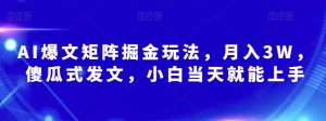 AI爆文矩阵掘金玩法,月入3W,傻瓜式发文,小白当天就能上手【揭秘】-学习资源库