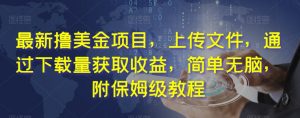 最新撸美金项目,上传文件,通过下载量获取收益,简单无脑,附保姆级教程【揭秘】-学习资源库