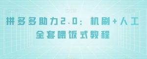 拼多多助力2.0:机刷+人工全套喂饭式教程【揭秘】-学习资源库