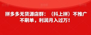 拼多多无货源店群:(抖上拼)不推广不刷单,利润月入过万!【揭秘】-学习资源库