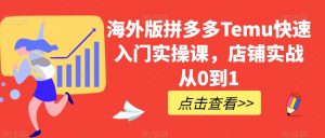 海外版拼多多Temu快速入门实操课,店铺实战从0到1-学习资源库