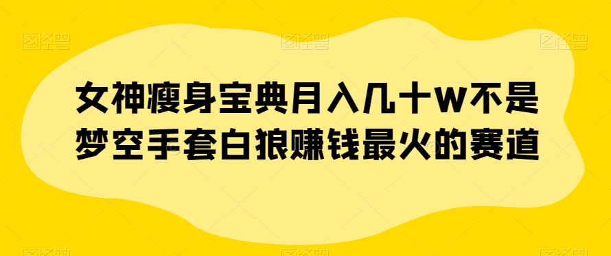 女神瘦身宝典月入几十W不是梦空手套白狼赚钱最火的赛道【揭秘】-学习资源库