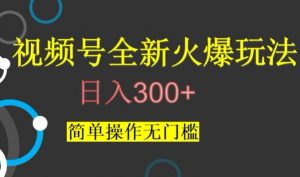 视频号最新爆火玩法,日入300+,简单操作无门槛【揭秘】-学习资源库