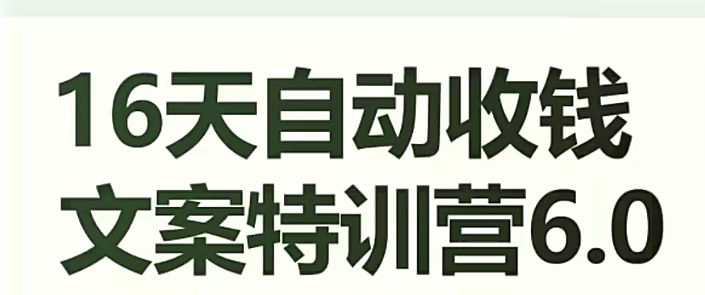 16天自动收钱文案特训营6.0，学会儿每天自动咔咔收钱-学习资源库
