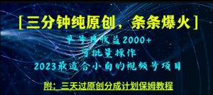 三分钟制作视频号纯原创,条条爆款,轻松月入过万【揭秘】-学习资源库