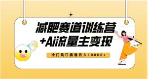 全新减肥赛道AI流量主+训练营变现玩法教程,蓝海冷门赛道小白轻松上手,月入10000+-学习资源库