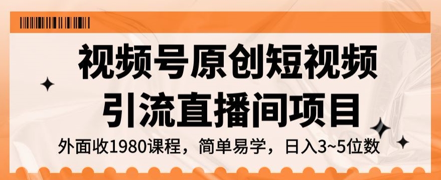 视频号原创短视频引流直播间项目，日入3~5五位数【揭秘】-学习资源库