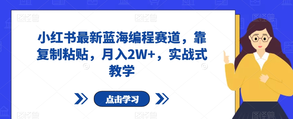 小红书最新蓝海编程赛道，靠复制粘贴，月入2W+，实战式教学【揭秘】-学习资源库