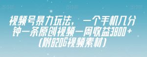 视频号暴力玩法，一个手机几分钟一条原创视频一周收益3800+（附820G视频素材）-学习资源库