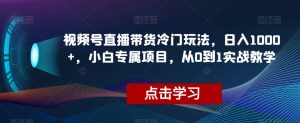 视频号直播带货冷门玩法，日入1000+，小白专属项目，从0到1实战教学【揭秘】-学习资源库