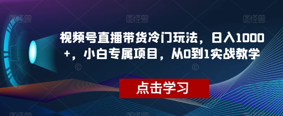 视频号直播带货冷门玩法，日入1000+，小白专属项目，从0到1实战教学【揭秘】-学习资源库