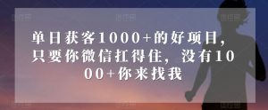 单日获客1000+的好项目，只要你微信扛得住，没有1000+你来找我【揭秘】-学习资源库