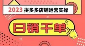 2023拼多多运营实操,每天30分钟日销1000+,爆款选品技巧大全(10节课)-学习资源库