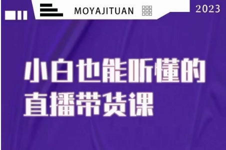 大威本威·能听懂的直播带货课，小白也能听懂，20节完整-学习资源库