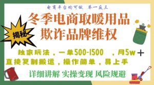 利用电商平台冬季销售取暖用品欺诈行为合理制裁店铺，单日入900+【仅揭秘】-学习资源库