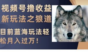 视频号撸收益新玩法之狼道,目前蓝海玩法,轻松月入过万【揭秘】-学习资源库