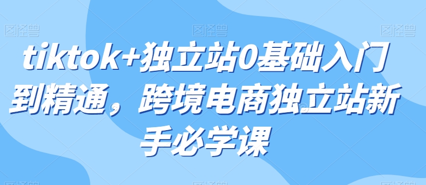 tiktok+独立站0基础入门到精通，跨境电商独立站新手必学课-学习资源库