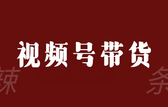 视频号带货联盟，赚信息差的带货钱，只需手机随时随地都可以做！-学习资源库