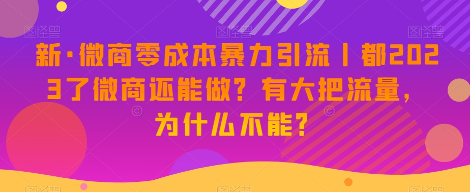 新·微商零成本暴力引流丨都2023了微商还能做？有大把流量，为什么不能？-学习资源库